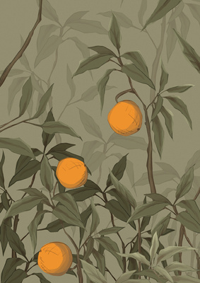 Pomarańcze grafika Plakat