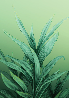 Liście na zielonym tle Plakat