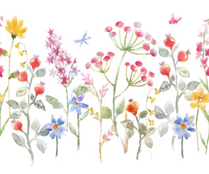 Polne kwiaty, akwarela Plakat