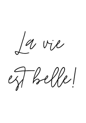 La vie est belle! Plakat z hasłem w języku francuskim