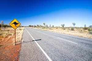 Uwaga, Kangur! Australia