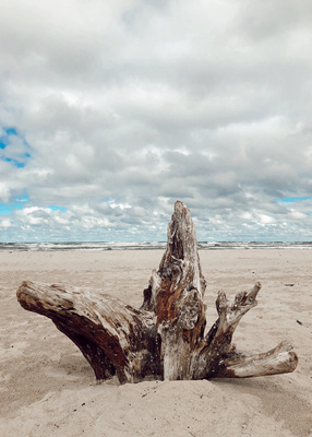 Plaża nad Morzem Bałtyckim Plakat