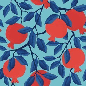 Grafika z owocami granatu Plakat