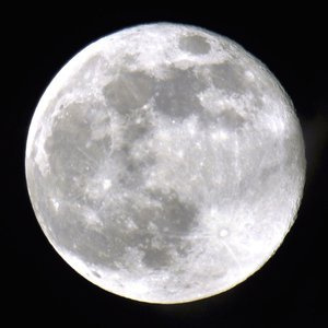 Pełnia księżyca Plakat